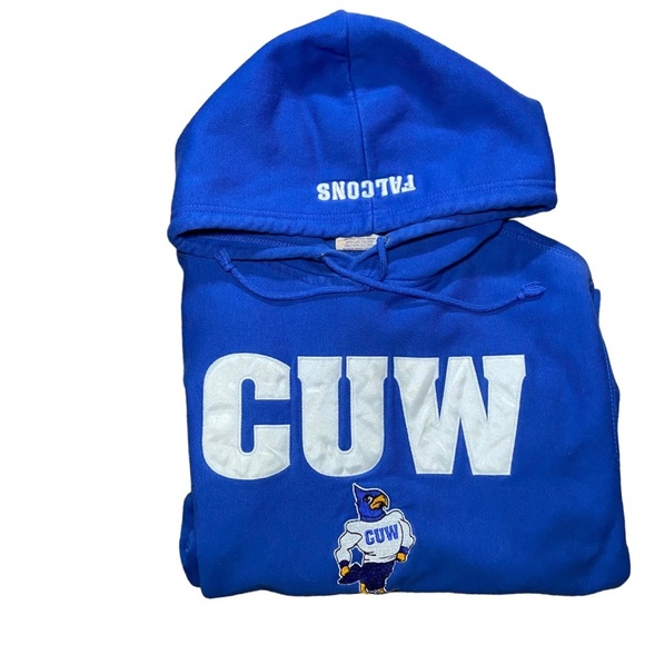 Vintage Wisconsin Falcons Hoodie Embroidered Concordia University Logo CUW Small - Picture 4 of 4